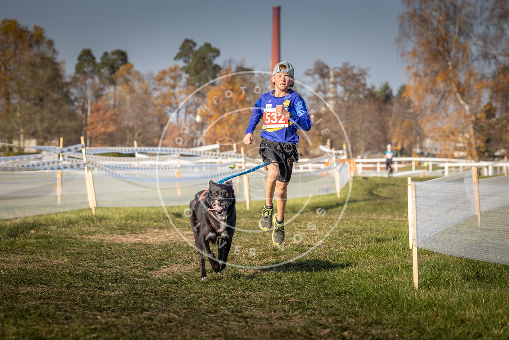CaniXpix_0L8A8794 | Hundefotografie, Tierfotograf, Pfotenfotografie, Fotoshooting Hund, Hunde Portrait, Hundesport, Hundeportraits, Heideshooting, Hunde, Sportfotograf, Hundefotograf, Turnierhundsport, THS,  - Realisiert mit Pictrs.com