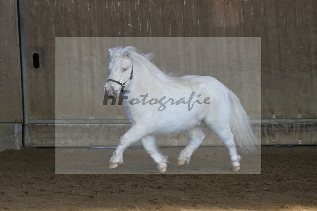 Kat-Nr. 14 Elmhorst Irish Cream v. Elmhorst Irish Coffee_Elmer_49250645 | hf-fotografie - Realisiert mit Pictrs.com