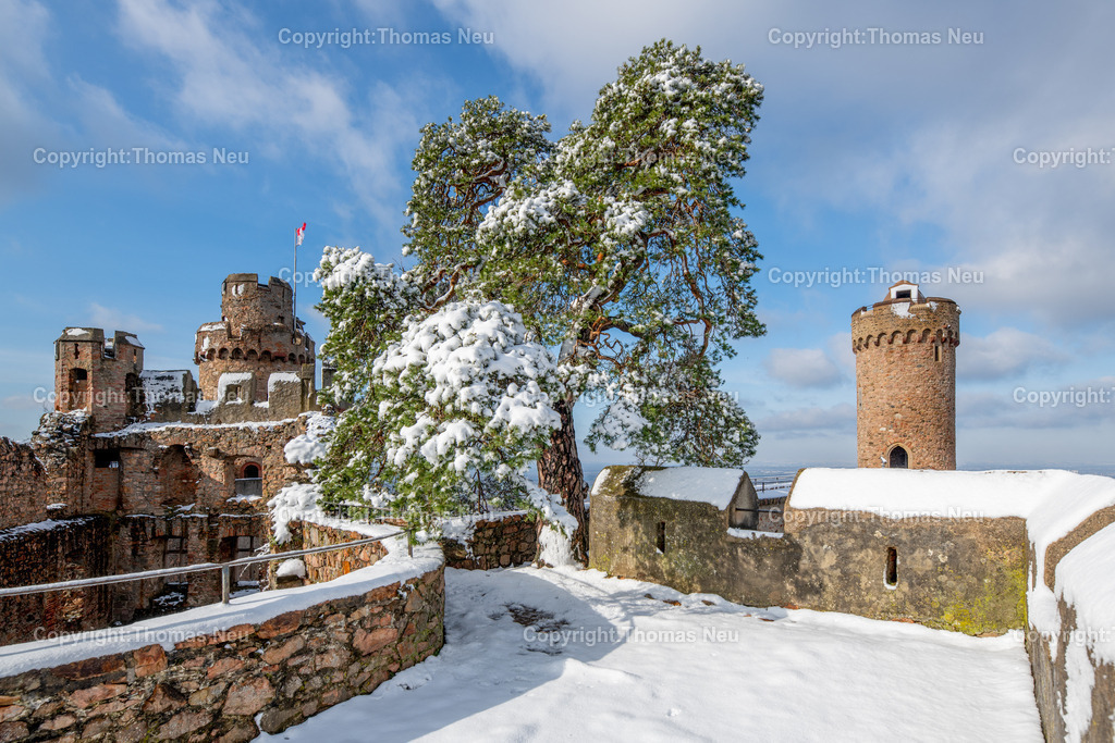 Winter-Schloss-Auerbach-Thomas_Neu_Fotografie-54 | Winterzauber auf Schloss Auerbach: Die historische Burgruine hoch über der Bergstraße zeigt sich im Schnee von ihrer beeindruckendsten Seite. Der Blick über die Rheinebene, der mächtige Wehrturm und die markante Schwarzkiefer machen das Schloss zu einem der schönsten Wintermotive im Odenwald. Entdecken Sie die faszinierende Kombination aus Geschichte, Natur und einzigartiger Winteratmosphäre., Bild: Thomas Neu
