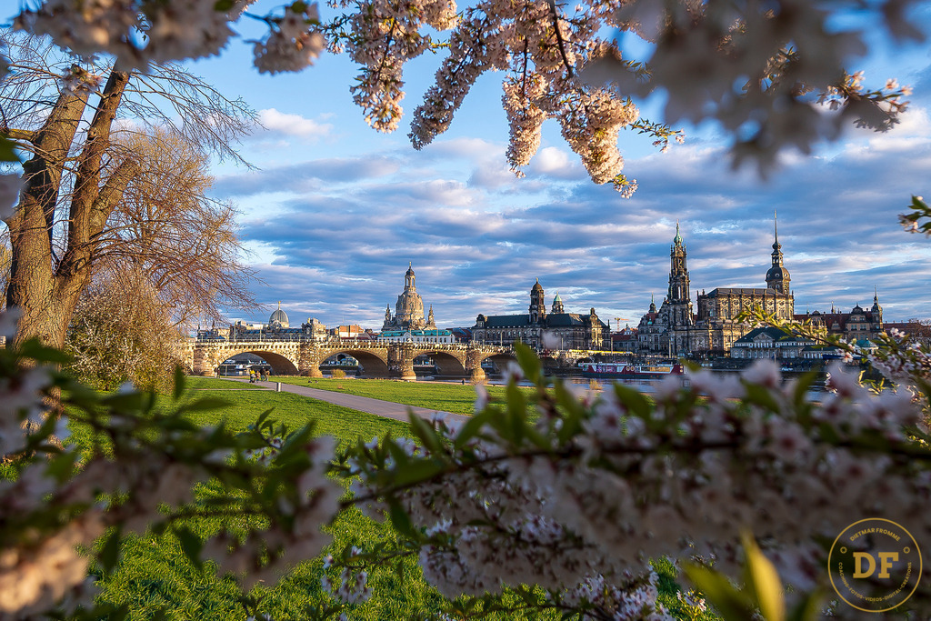 9334-Top-Baum-Canalettoview-L | Geschenke, Wandbilder und Accessoires mit Motiven aus Dresden und anderen schönen Orten zur Verschönerung Deines zu Hauses und zum verschenken gewünscht? Wähle Deine Lieblingsbild auf dem Produkt Deiner Wahl. 