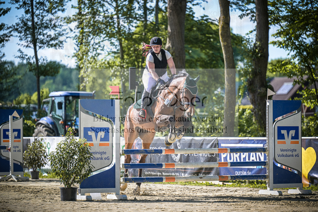 DOS_3190 | Entdecke hochwertige Reitturnierfotos von Foto Oger. Professionell, emotional und authentisch – jetzt Lieblingsmomente im Shop bestellen.Deutschlandweite Turnierfotografie. - Realisiert mit Pictrs.com