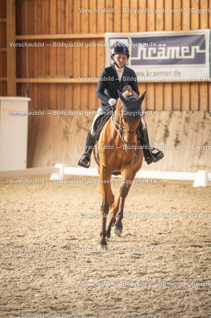 _D5A3240 | Emotionale Pferde- & People-Fotografie rund um Heidelberg, Leimen & Umgebung. Natürliche Fotos von Pferd, Mensch & Familie. Jetzt Termin sichern!