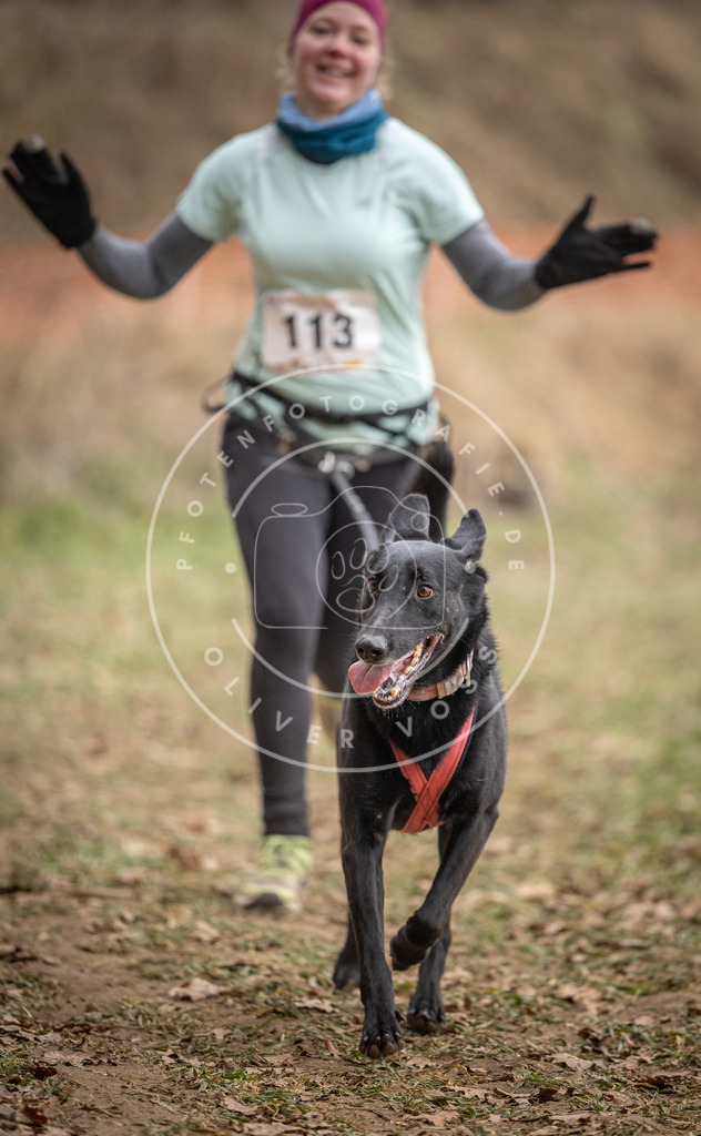 Pfotenfotografie_DV3A7570 | Hundefotografie, Tierfotograf, Pfotenfotografie, Fotoshooting Hund, Hunde Portrait, Hundesport, Hundeportraits, Heideshooting, Hunde, Sportfotograf, Hundefotograf, Turnierhundsport, THS,  - Realisiert mit Pictrs.com