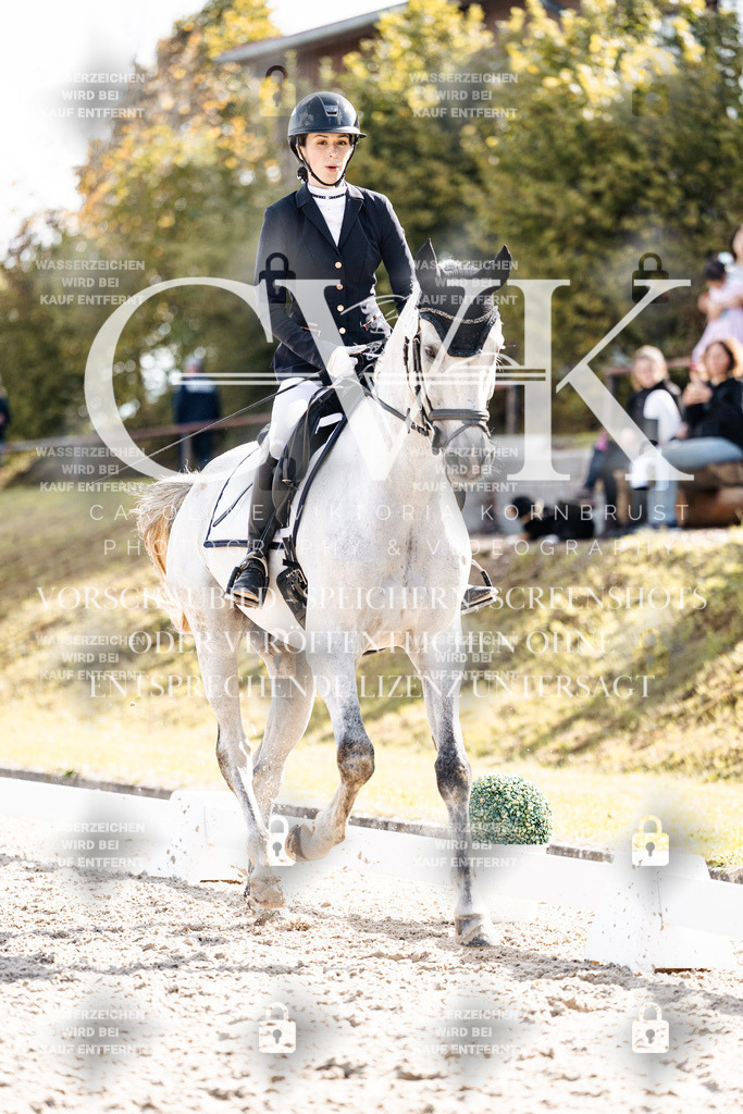 CK902045 | Turnierfotografie Pferdefotografie Trier Rheinland-Pfalz Pferdesport Reitsport Tierfotografie Sportfotografie Pferdevideo Pferdevideografie Equestrianvideography equestrianphotography  - Realisiert mit Pictrs.com