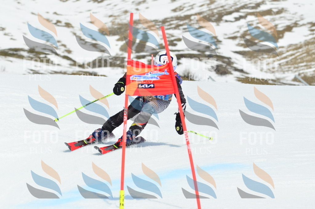 _ELE2596 | holidayphoto