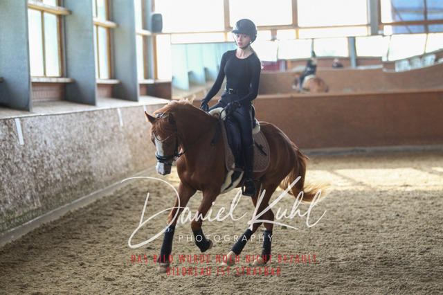 DKP42614 | Turniersportfotografie; Pferdefotografie; Dressurfotografie