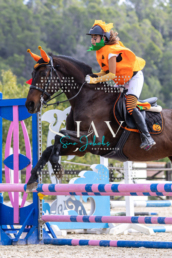 IMG_2668 | s-jay-photography - Realisiert mit Pictrs.com