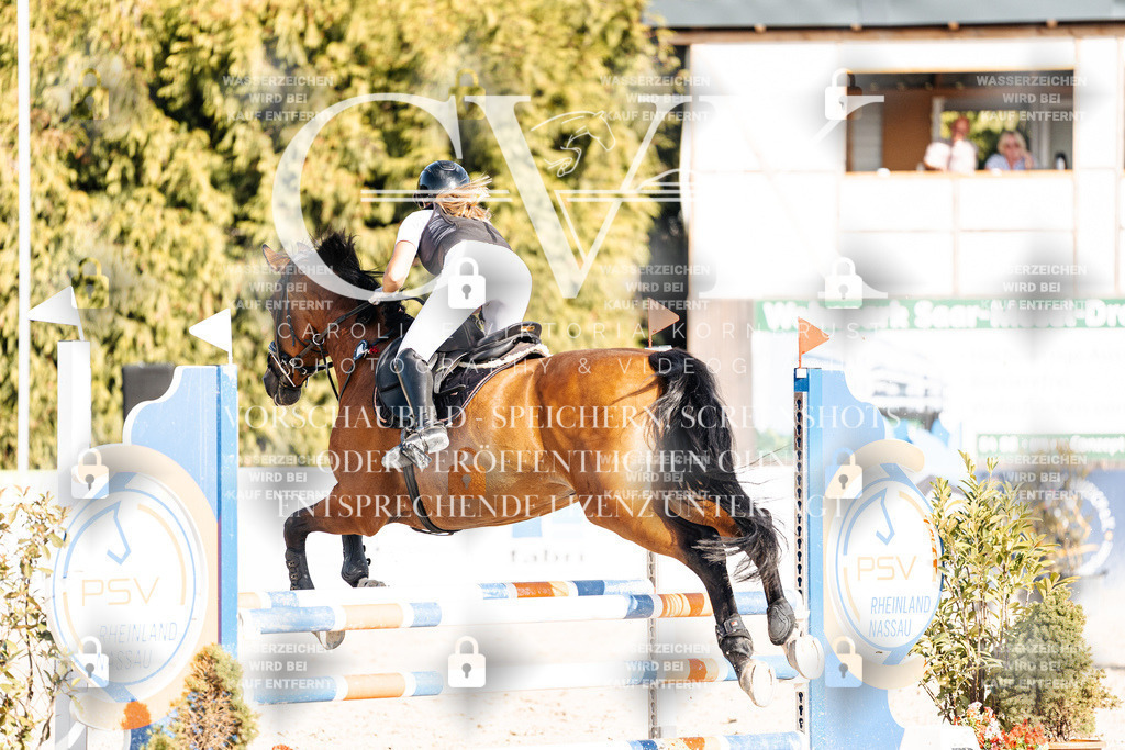 CK909647 | Turnierfotografie Pferdefotografie Trier Rheinland-Pfalz Pferdesport Reitsport Tierfotografie Sportfotografie Pferdevideo Pferdevideografie Equestrianvideography equestrianphotography  - Realisiert mit Pictrs.com