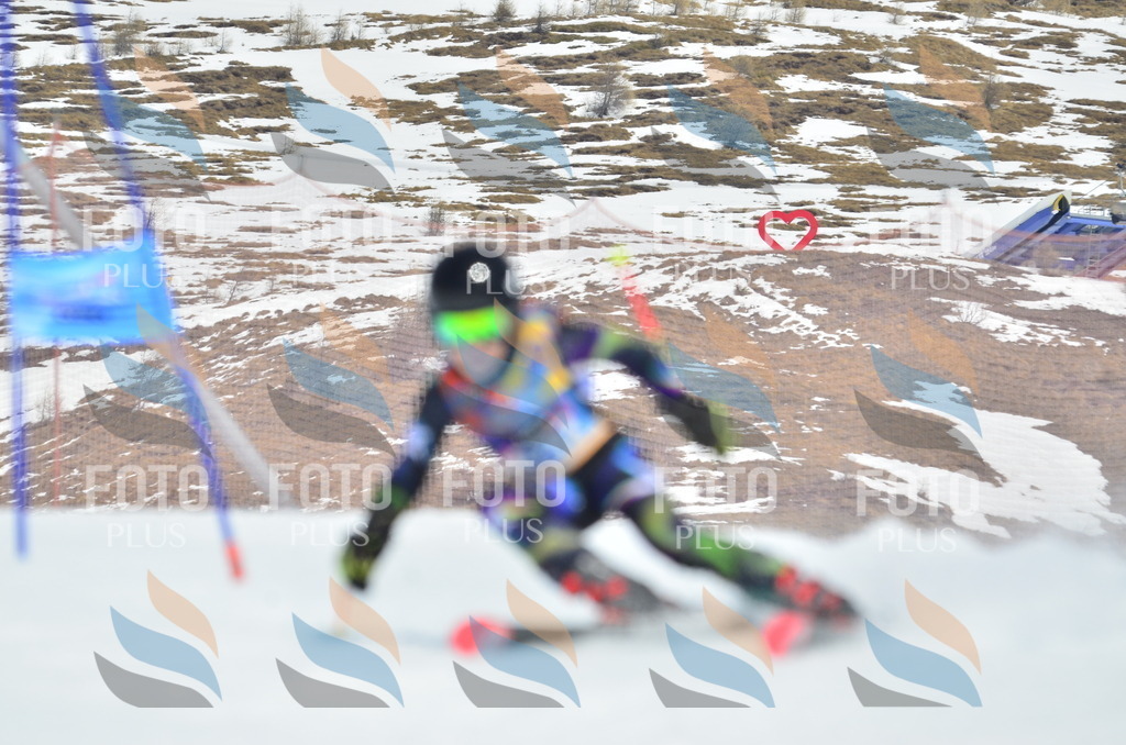 _ELE2633 | holidayphoto