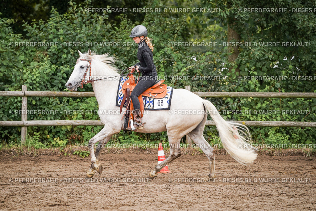 DSC05075 | Pferdegrafie