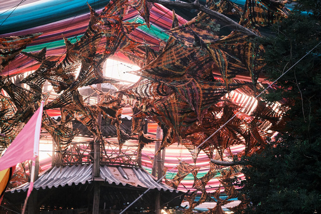 _DSF7007-OzaraPT1 | blende43