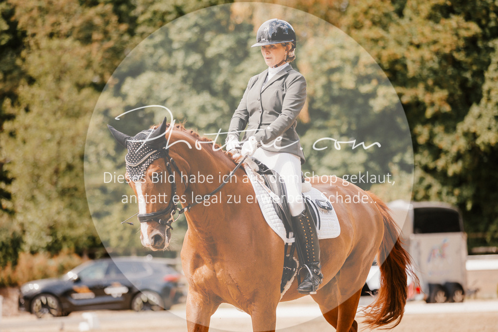 3I6A6035 | Stimmungsvolle Portraits und Reitsportfotografie im Ruhrgebiet und im Münsterland.

Pferdefotografie, Hundefotografie, Tierfotografie, Reportagen, Portraits von Tier und Mensch, Turnierfotografie in Bochum, Recklinghausen, Marl, Haltern am See, Dülmen.. - Realisiert mit Pictrs.com