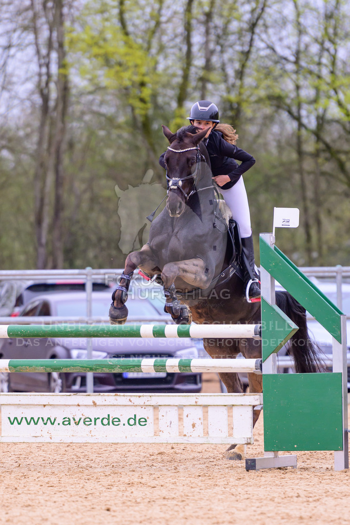12042026-Mammendorf-Prfg42-0169 | Fokus Hufschlag Fotografie - Realisiert mit Pictrs.com