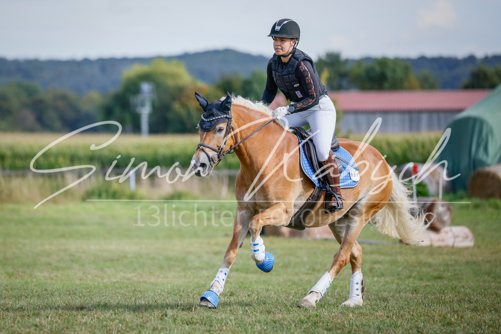 20250905-_3LI1092 | Tierfotografie Pferde, Hunde, Katzen, Haustiere.
Turnierfotografie Reitturniere, Reiten, Springreiten, Dressur in Hanau, dem Main-Kinzig-Kreis und dem Rhein-Main- Gebiet um Frankfurt