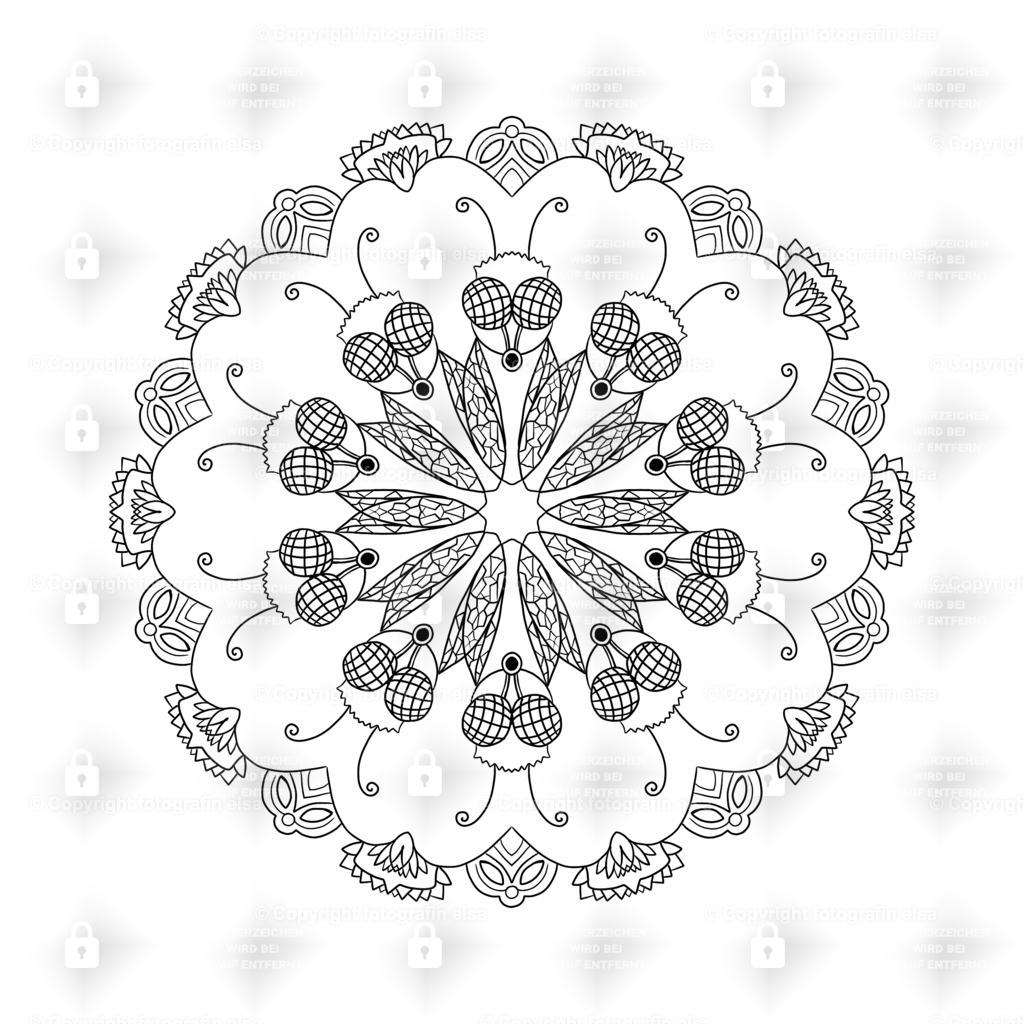 doo33 | fotografinelsa