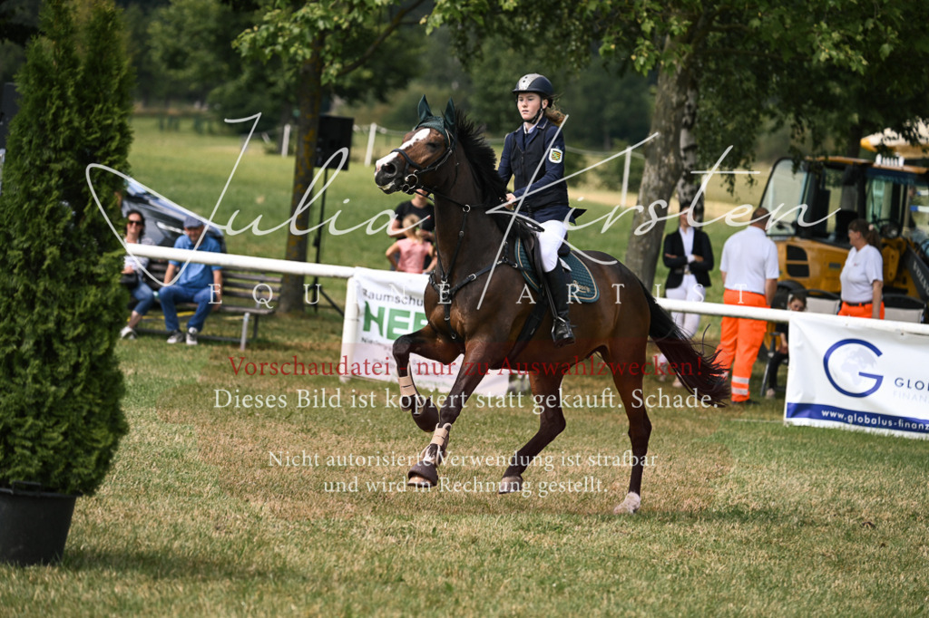 DSC_0602 | Pferde- und Turnierfotografie in Westsachsen. Pferdeportraits, Auftragszeichnungen und intuitive Kunst.
