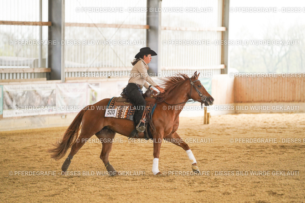 DSC00103 | Pferdegrafie