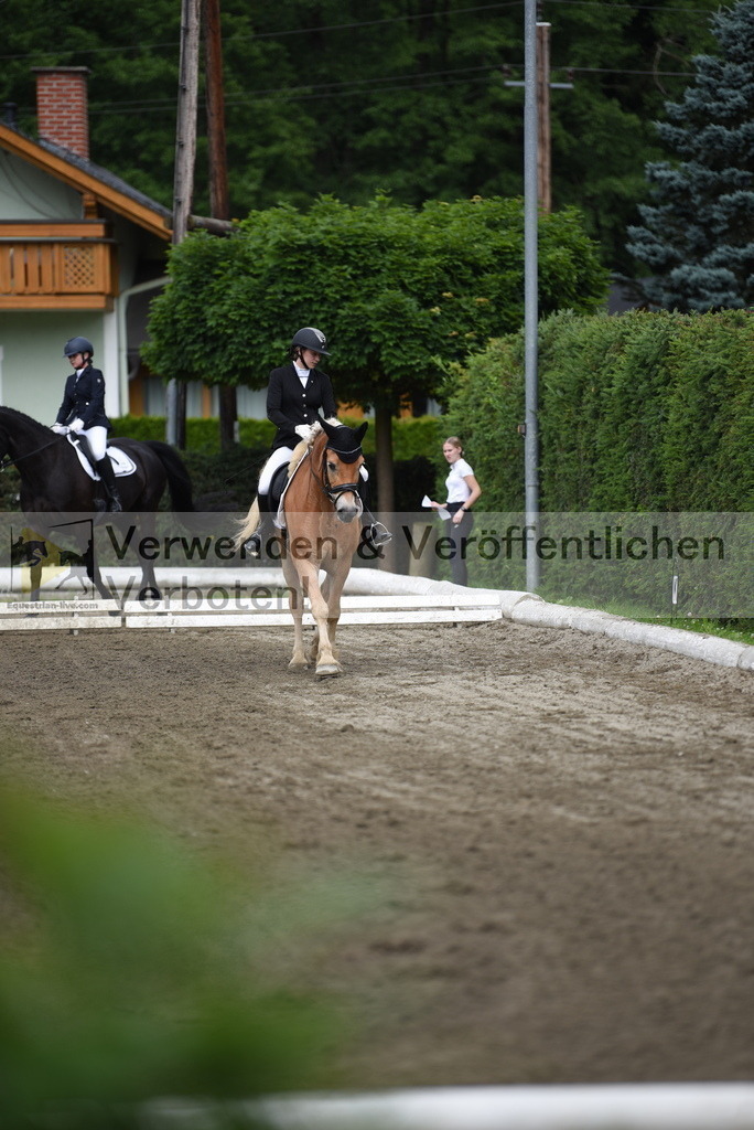 DSC_3803 | equestrian-live-com