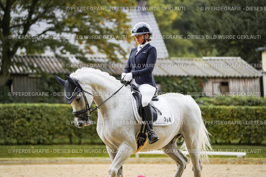 DSC06651 | Pferdegrafie