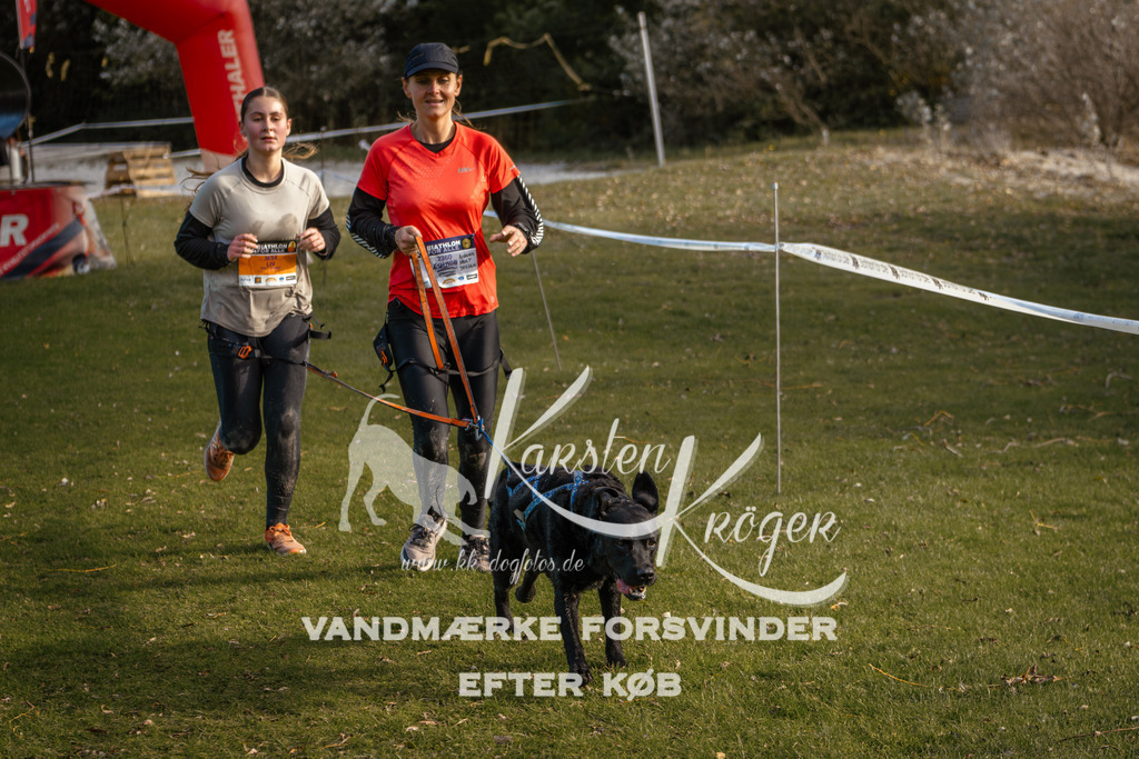 1548_ZZ97155 | kk-dogfotos