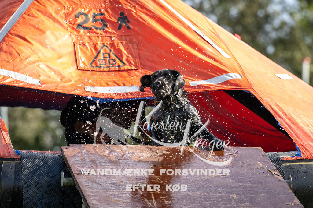 1403-93580 | kk-dogfotos