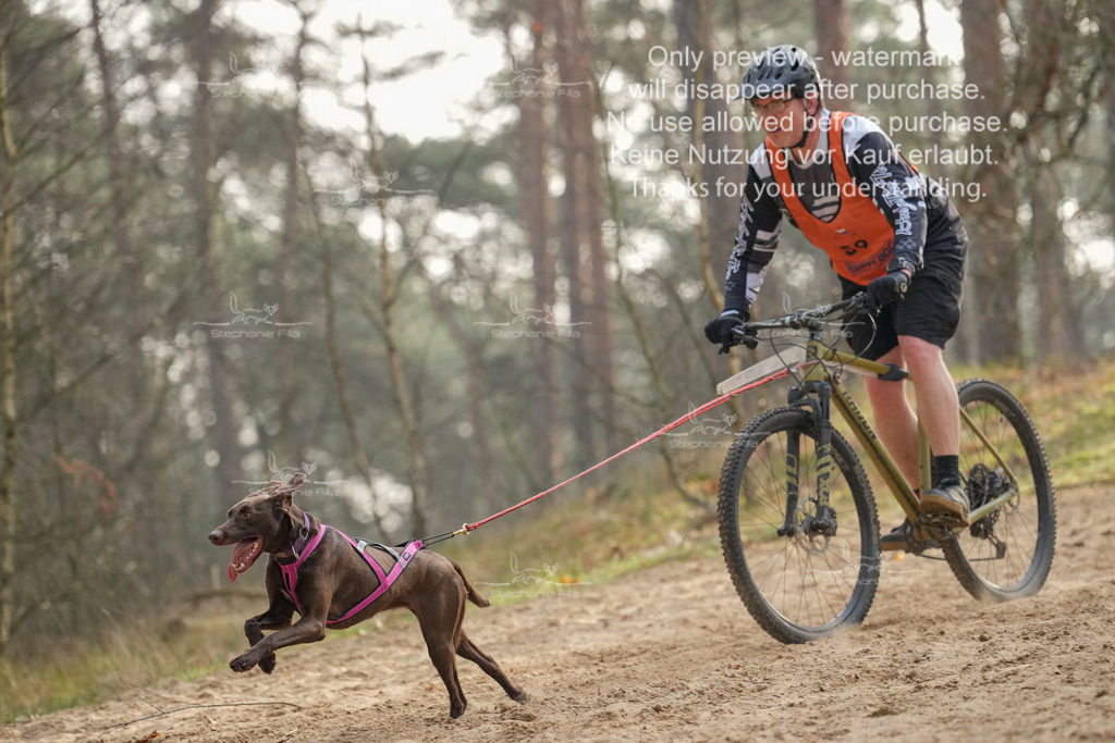 Bike1-110 | stephaniefillaphotographie - Realisiert mit Pictrs.com