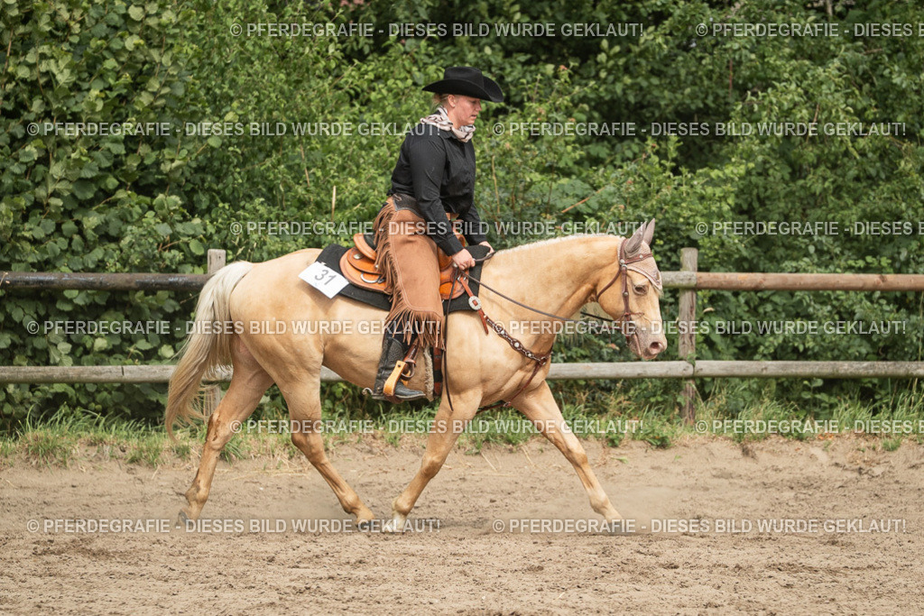 DSC03463 | Pferdegrafie