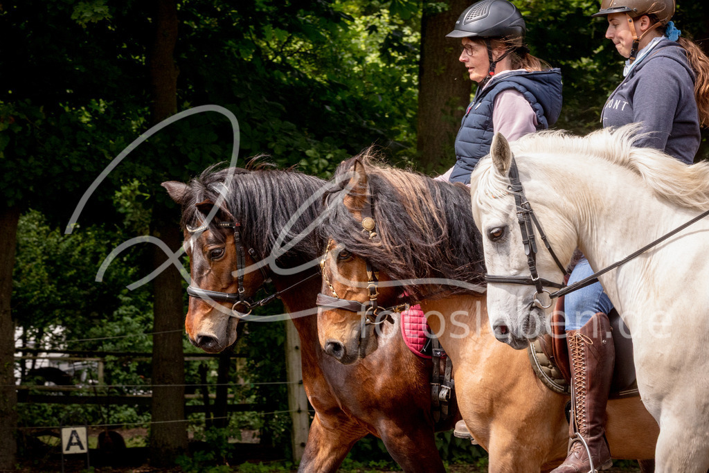 846A1021 | fotosleben - Realisiert mit Pictrs.com