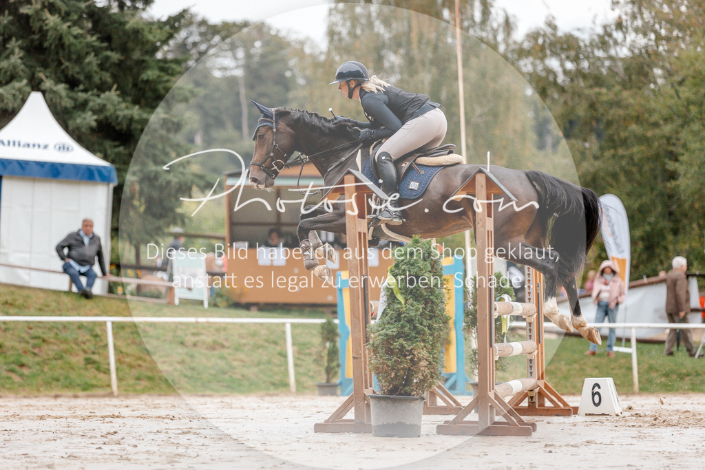 3I6A5596 | Stimmungsvolle Portraits und Reitsportfotografie im Ruhrgebiet und im Münsterland.

Pferdefotografie, Hundefotografie, Tierfotografie, Reportagen, Portraits von Tier und Mensch, Turnierfotografie in Bochum, Recklinghausen, Marl, Haltern am See, Dülmen.. - Realisiert mit Pictrs.com