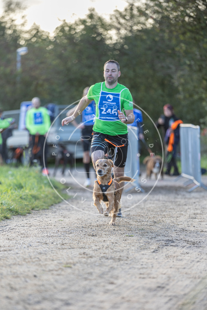 Pfotenfotografie.de_DV3A2719 | Hundefotografie, Tierfotograf, Pfotenfotografie, Fotoshooting Hund, Hunde Portrait, Hundesport, Hundeportraits, Heideshooting, Hunde, Sportfotograf, Hundefotograf, Turnierhundsport, THS, canicross - Realisiert mit Pictrs.com