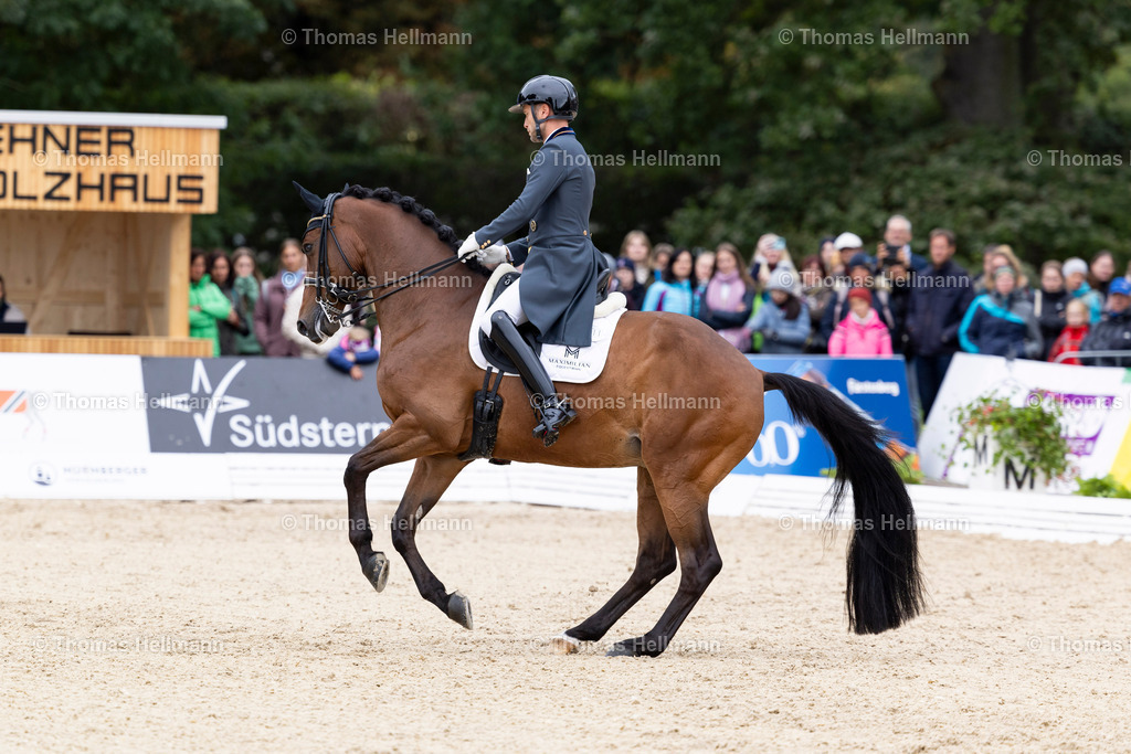 TH_311-CARRASCOSA Borja (GER)_ Franky Di Fonteabeti_21791 | CHI Donaueschingen 2024 am 14.09.24 in Donaueschingen, 311CARRASCOSA Borja (GER), Franky Di Fonteabeti