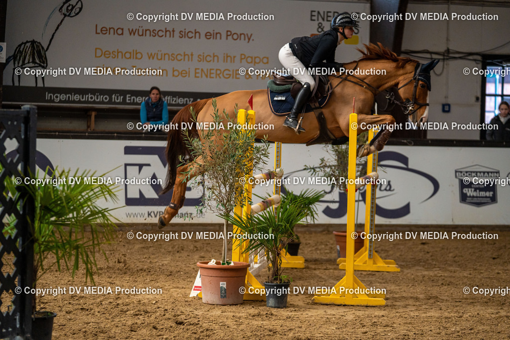 Kranichstein Tag 2-488 | dv-media-shop - Realisiert mit Pictrs.com