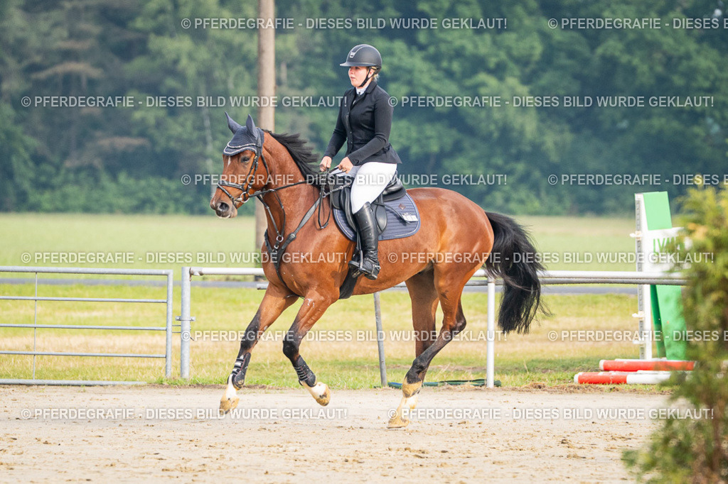 DSC07961 | Pferdegrafie