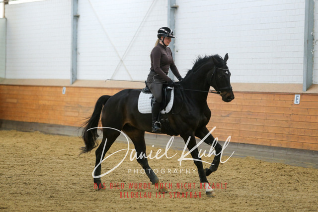 IMG_3748 | Turniersportfotografie; Pferdefotografie; Dressurfotografie