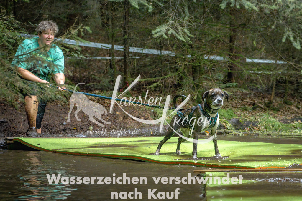 1515_ZZ94956-Bearbeitet | kk-dogfotos