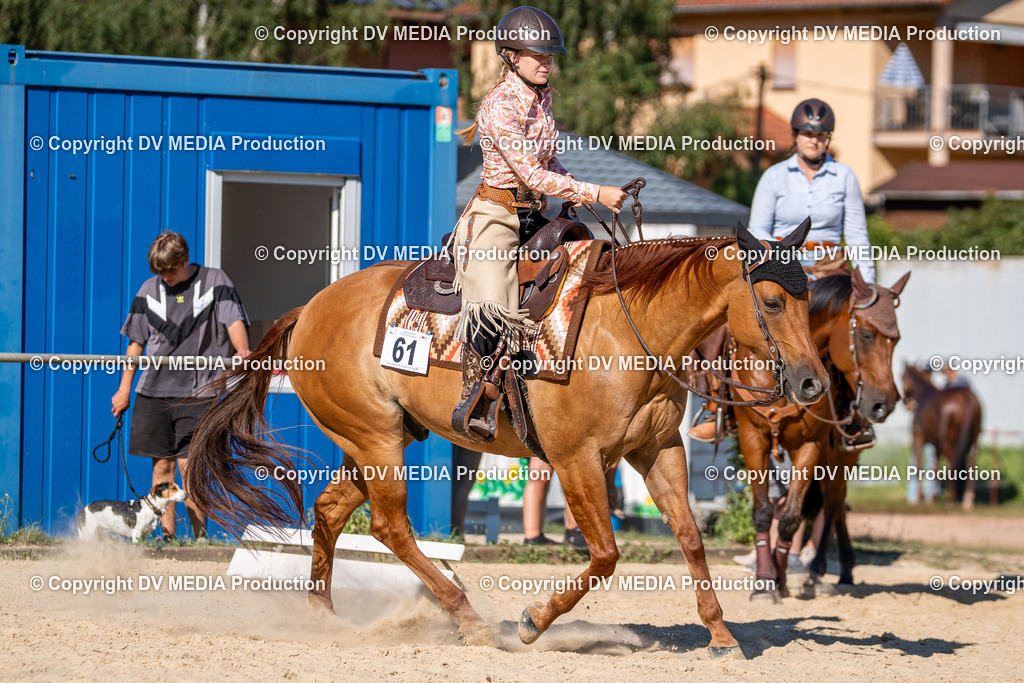 LM Heiligenwald Tag 1-1949 | dv-media-shop - Realisiert mit Pictrs.com