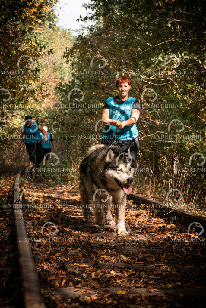 madeleinebirr.fotografie.2026.cc.hunsrueck.12-13Uhr.106 | hundefotografie-birr