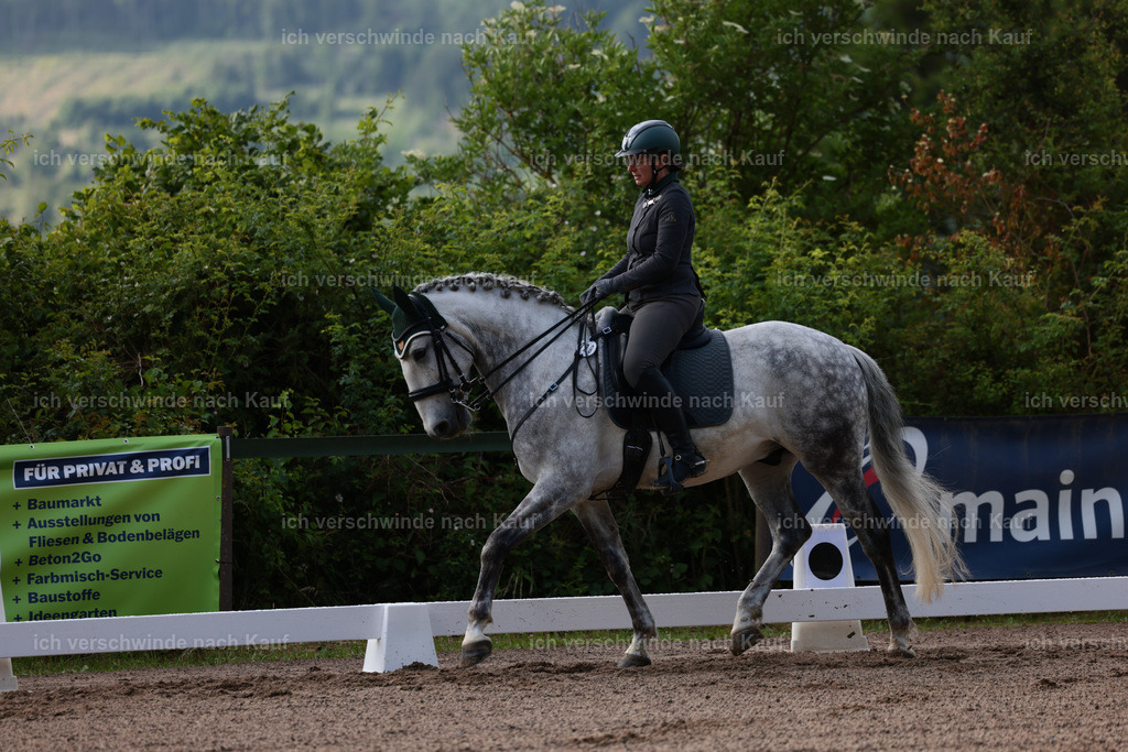 KlasseL_Stoibphotography_CAM20789.JPG | working equitationturnier fotograf videograf stoibphotography marixx film working equitation deutschland reitsport turnierfotografie eventfotografie equestrian events