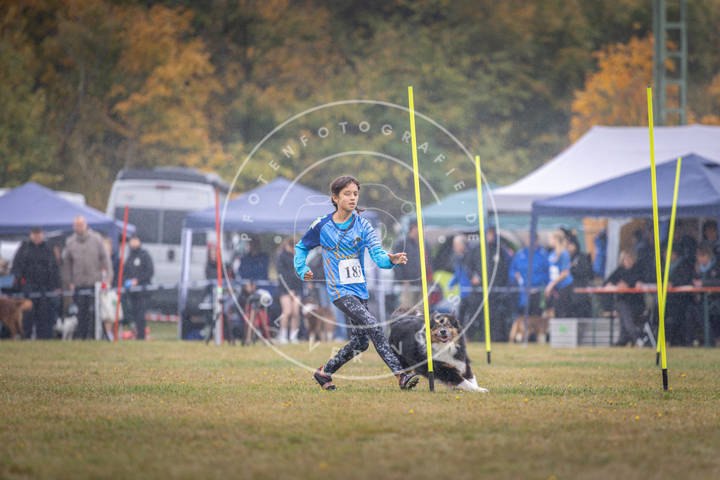 Pfotenfotografie_DV3A9988 | Hundefotografie, Tierfotograf, Pfotenfotografie, Fotoshooting Hund, Hunde Portrait, Hundesport, Hundeportraits, Heideshooting, Hunde, Sportfotograf, Hundefotograf, Turnierhundsport, THS,  - Realisiert mit Pictrs.com