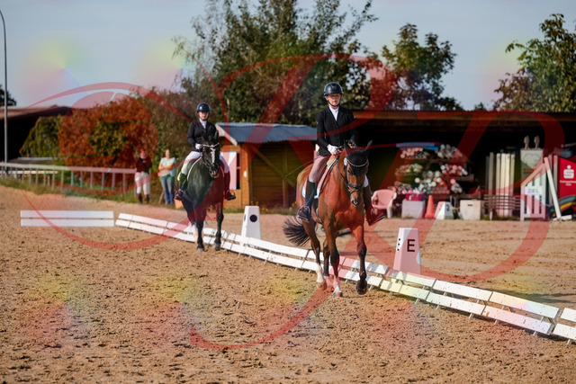 2026_10_03_Siefer-Hof_131537_Z63_77389994 | Professionelle Reitsport-, Turnier- und Eventfotografie von Robert Broda. Galerien mit ausgewählten und bearbeiteten Bildern direkt online ansehen und bestellen.