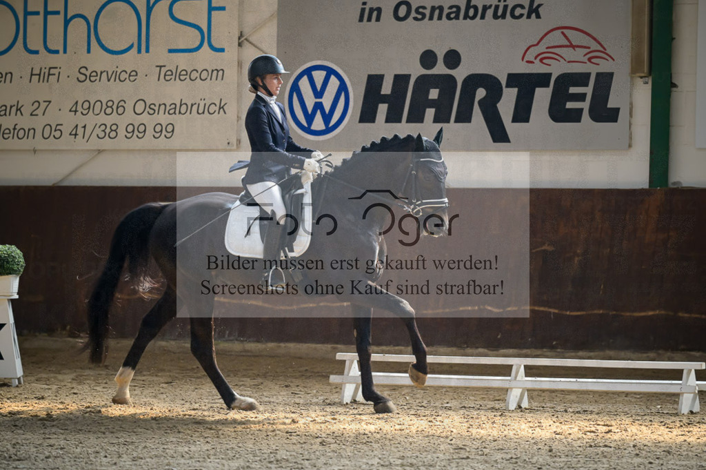 Reitturnier Voxtrup | Entdecke hochwertige Reitturnierfotos von Foto Oger. Professionell, emotional und authentisch – jetzt Lieblingsmomente im Shop bestellen.Deutschlandweite Turnierfotografie. - Realisiert mit Pictrs.com
