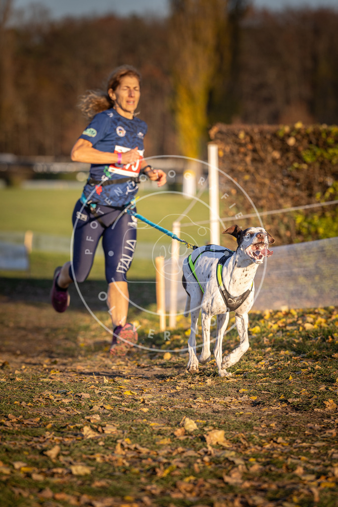 CaniXpix_DV3A4493 | Hundefotografie, Tierfotograf, Pfotenfotografie, Fotoshooting Hund, Hunde Portrait, Hundesport, Hundeportraits, Heideshooting, Hunde, Sportfotograf, Hundefotograf, Turnierhundsport, THS,  - Realisiert mit Pictrs.com