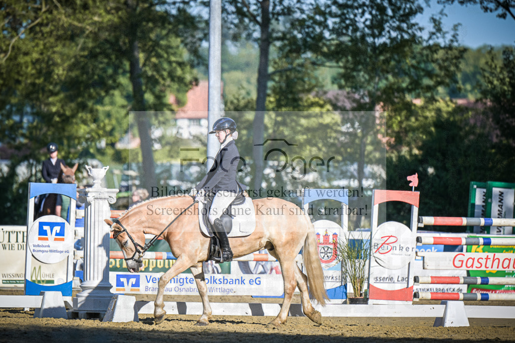 DOS_4632 | Entdecke hochwertige Reitturnierfotos von Foto Oger. Professionell, emotional und authentisch – jetzt Lieblingsmomente im Shop bestellen.Deutschlandweite Turnierfotografie. - Realisiert mit Pictrs.com