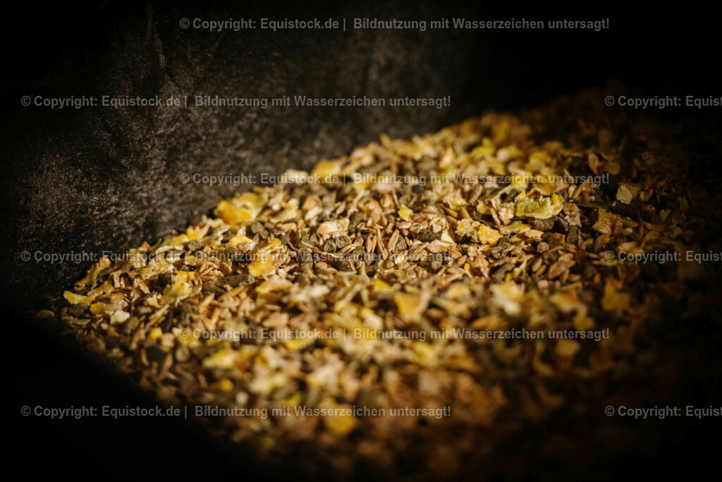 TS_20160830_M__sli_0001 | Foto: Thomas Hartig