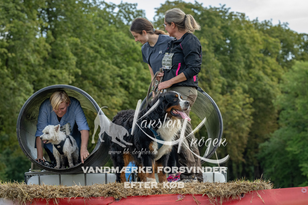 1042_ZZ92939 | kk-dogfotos