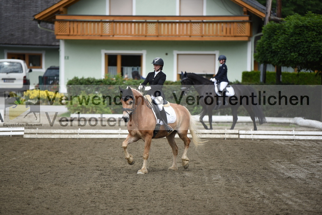 DSC_3838 | equestrian-live-com