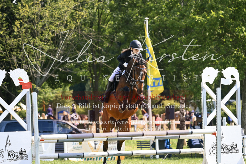 DSC_8703 | Pferde- und Turnierfotografie in Westsachsen. Pferdeportraits, Auftragszeichnungen und intuitive Kunst.