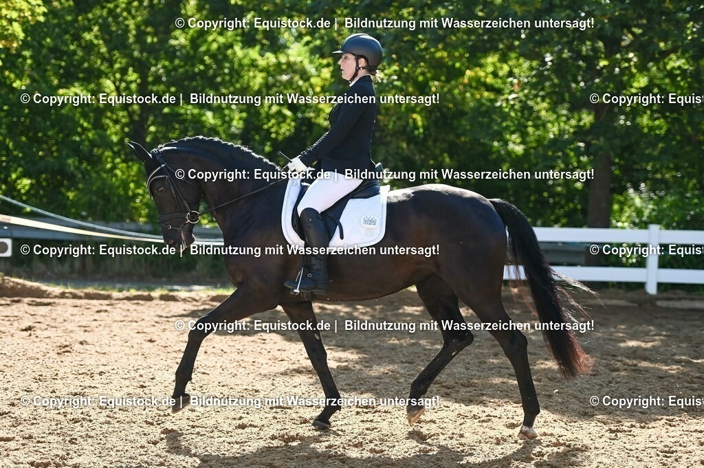 20230715_06_Dressurpferdeprfg. Kl.A_0333 | equistock