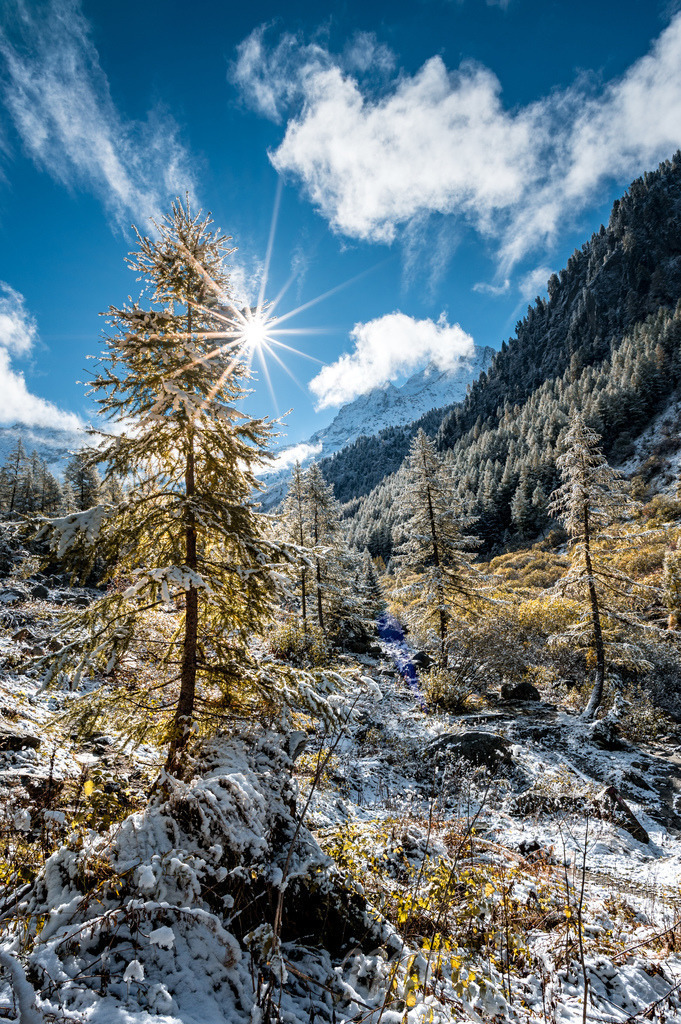first snow on a beautiful autumn day in Vallée du Trient, Valais | Die ideale Geschenkidee für Naturliebhaber. Naturbilder von Marcel Gross Photography für ihr Zuhause in den verschiedensten Formaten und Materialien. - Realisiert mit Pictrs.com