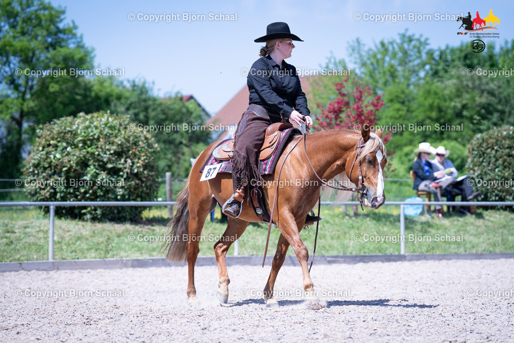 LMB07920 | BS-foto
